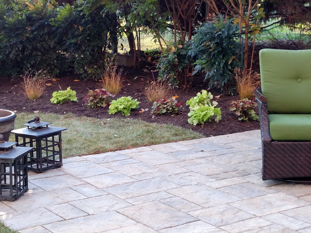 Modern Patio & Plantings